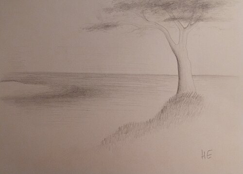 Paysage à l'arbre et aux herbes van Artiste H. E., Schilderij te koop op Singulart