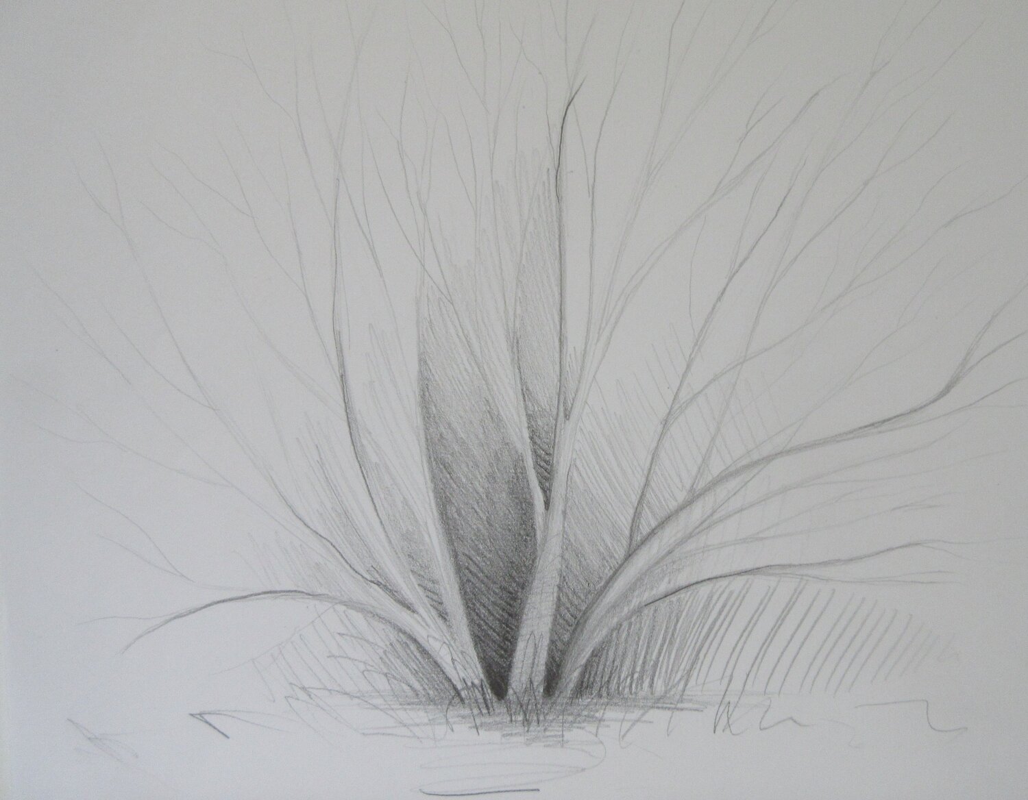 Arbre Artiste H. E.