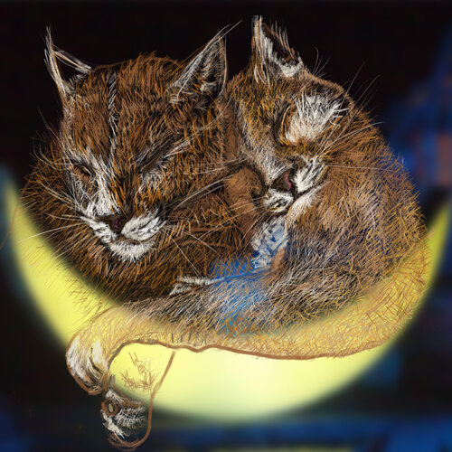 Moon Lions van Stefanie Lueck, Afdruk te koop op Singulart