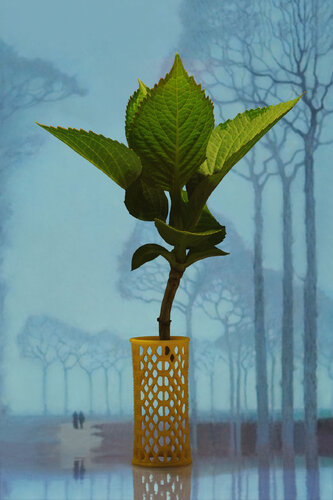 Ohne Titel van Anja Morisse, Fotografie te koop op Singulart