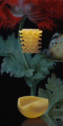 Flower_3_0705_2024 di Anja Morisse, Fotografia in vendita su Singulart