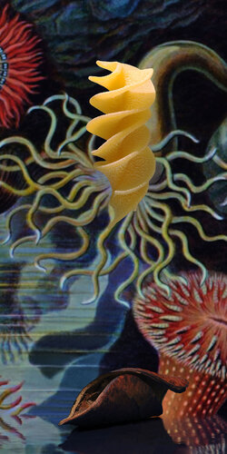 Arche_1786_2025 by Anja Morisse, Photography for Sale on Singulart