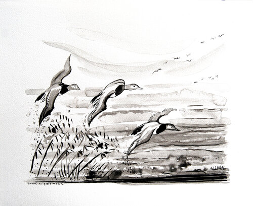 Flight - Envol Marie-Claude ELLHËA