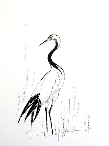 Majestic Crane - Grue Majestueuse di Marie-Claude ELLHËA, Disegno in vendita su Singulart