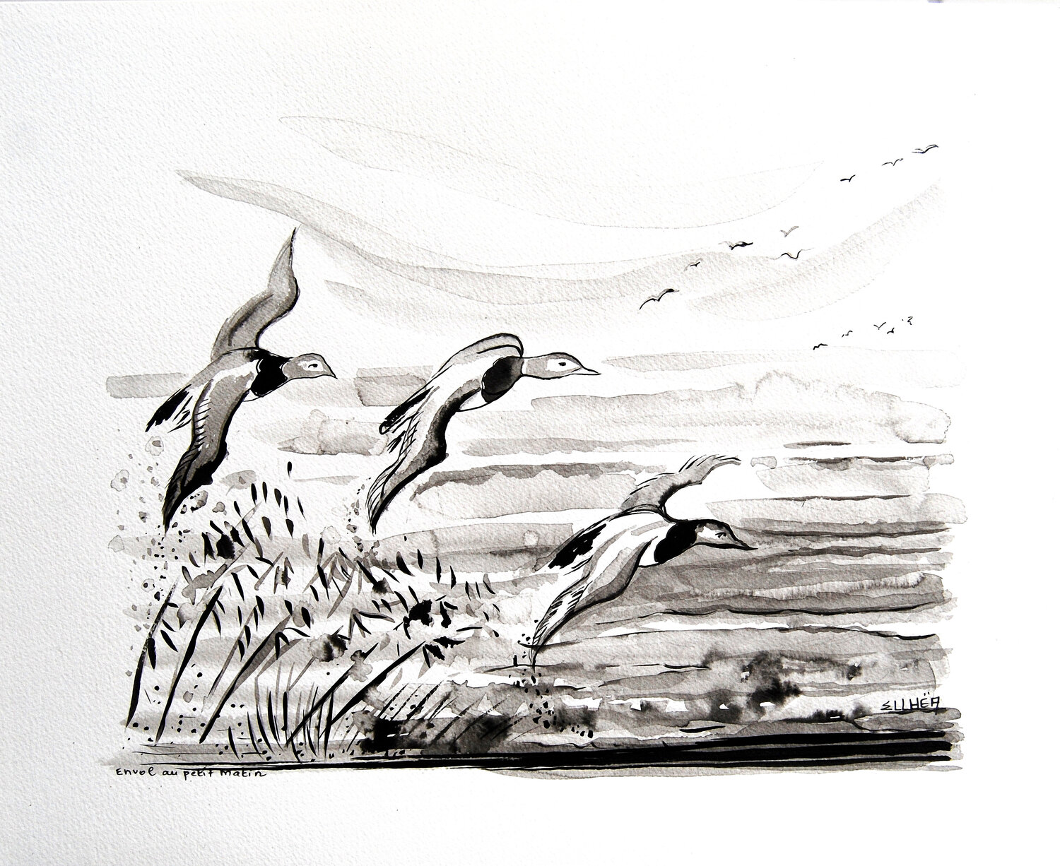 Flight - Envol Marie-Claude ELLHËA