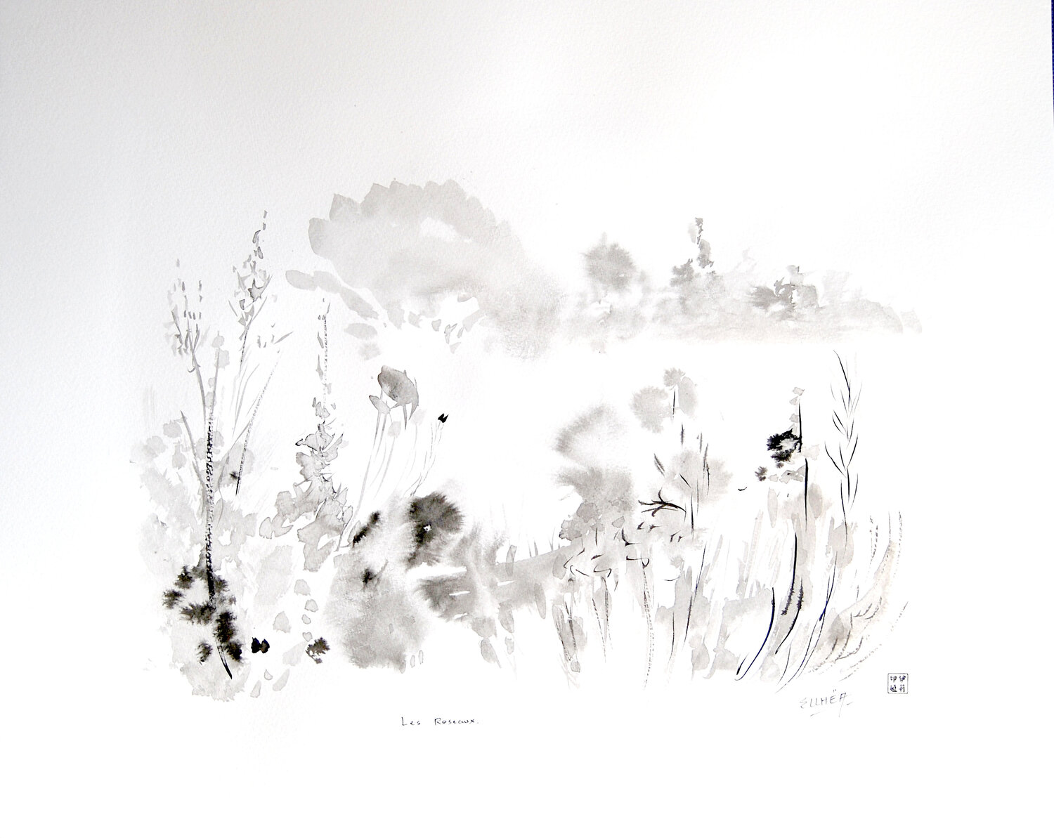 Les Roseaux - The Reeds Marie-Claude ELLHËA Zeichnungen zu verkaufen