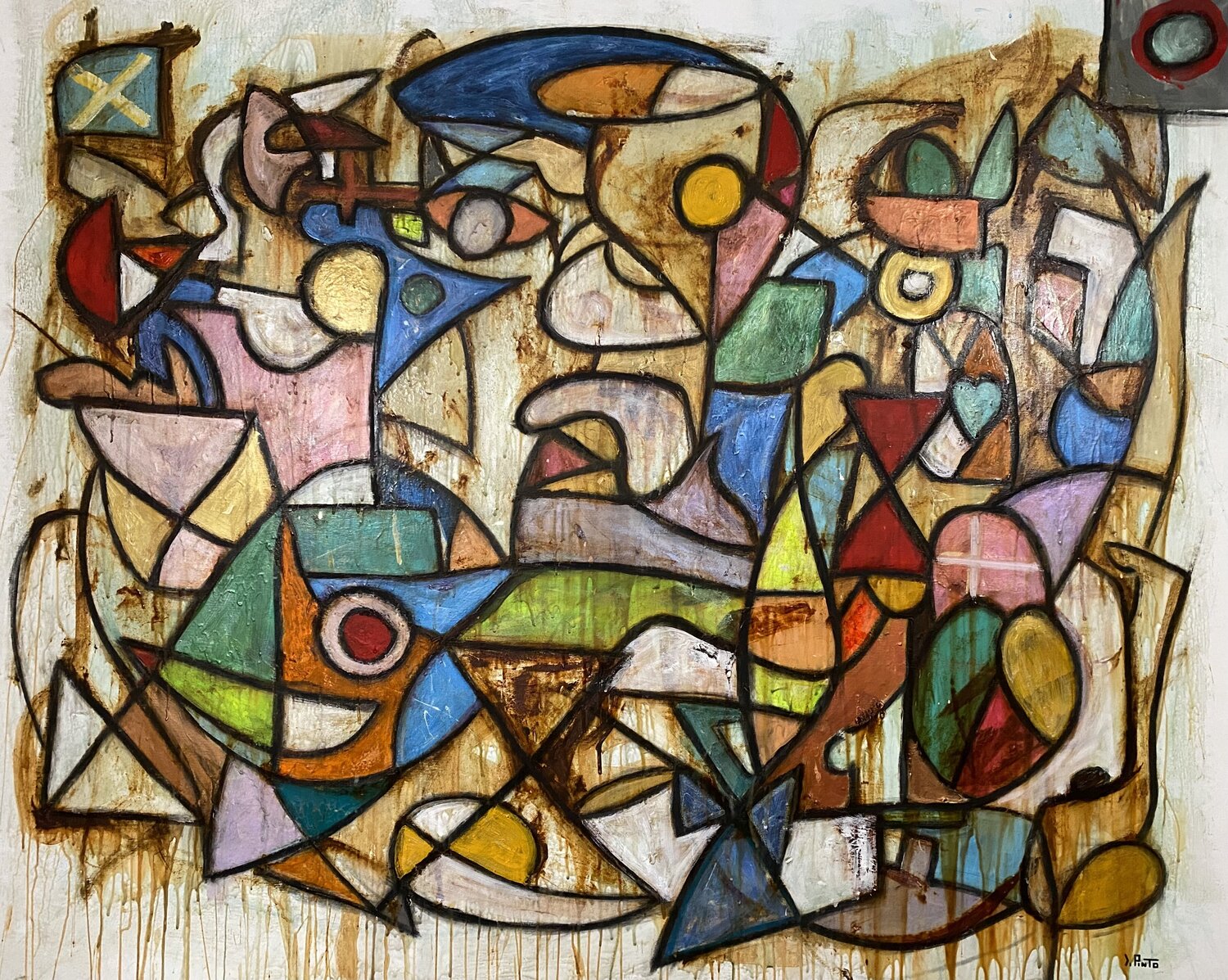 Cassiopea Federico Pinto Schmid