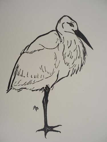 Cigogne di André-Roland Brudieux, Stampa in vendita su Singulart