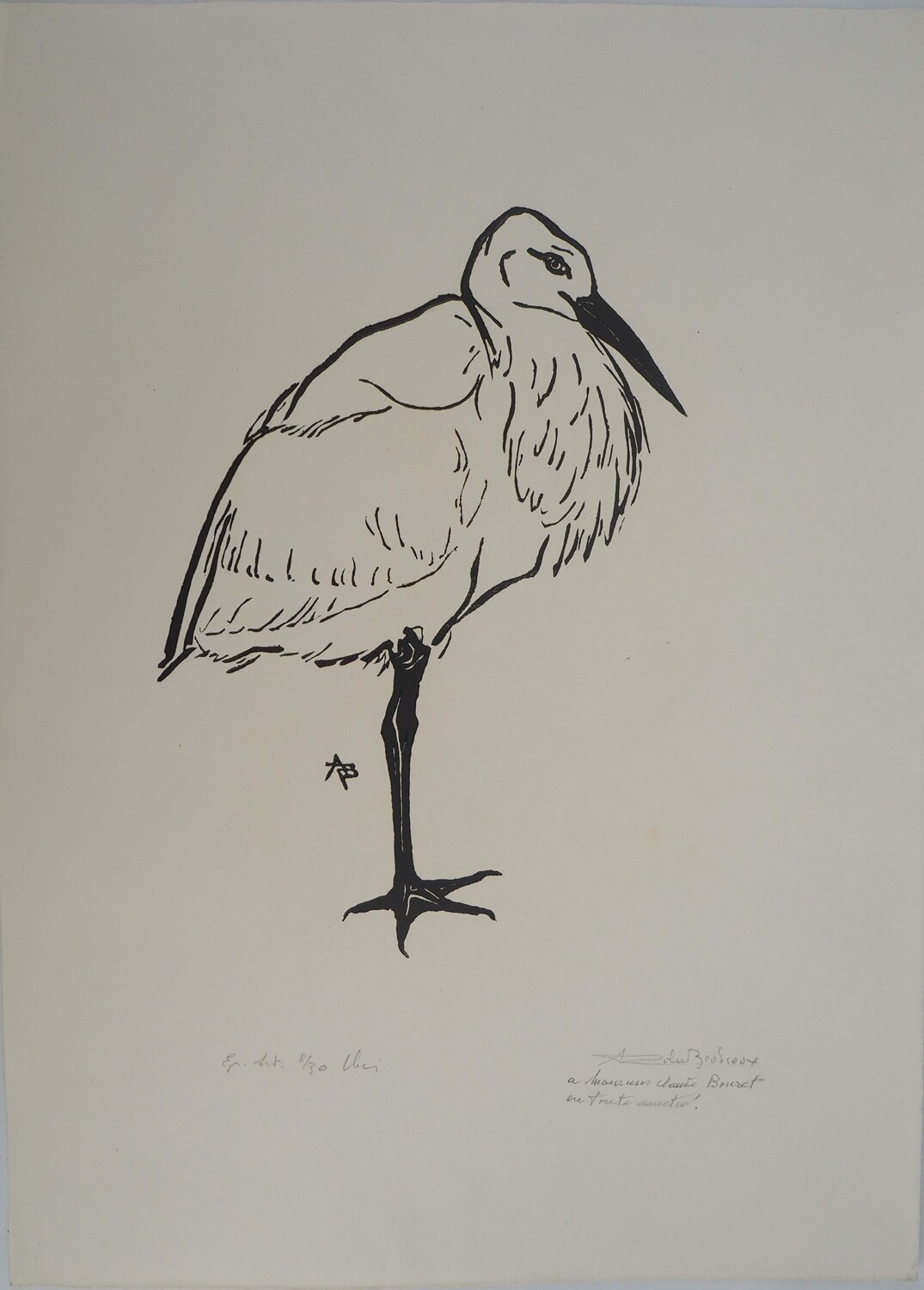 Cigogne André-Roland Brudieux Stampa in vendita
