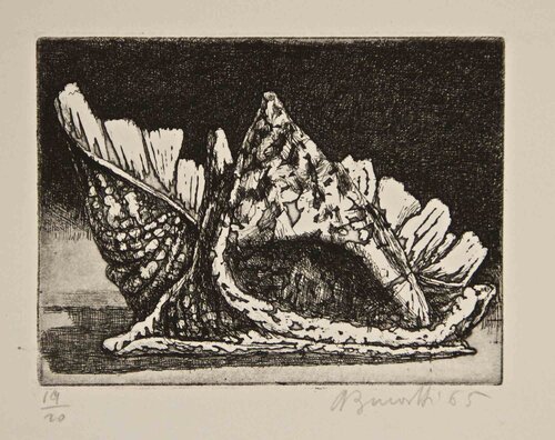 Two Shells von Armando Buratti, Druck kaufen auf Singulart