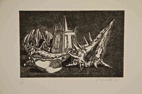 Still Life with Shell von Armando Buratti, Druck kaufen auf Singulart