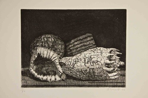 Three Shells von Armando Buratti, Druck kaufen auf Singulart