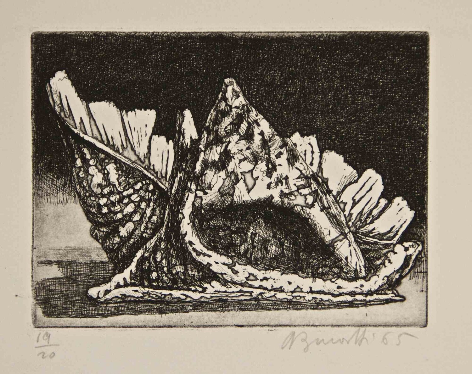 Two Shells Armando Buratti