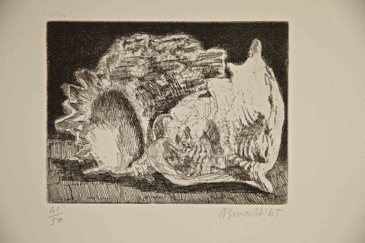 Fossils Armando Buratti