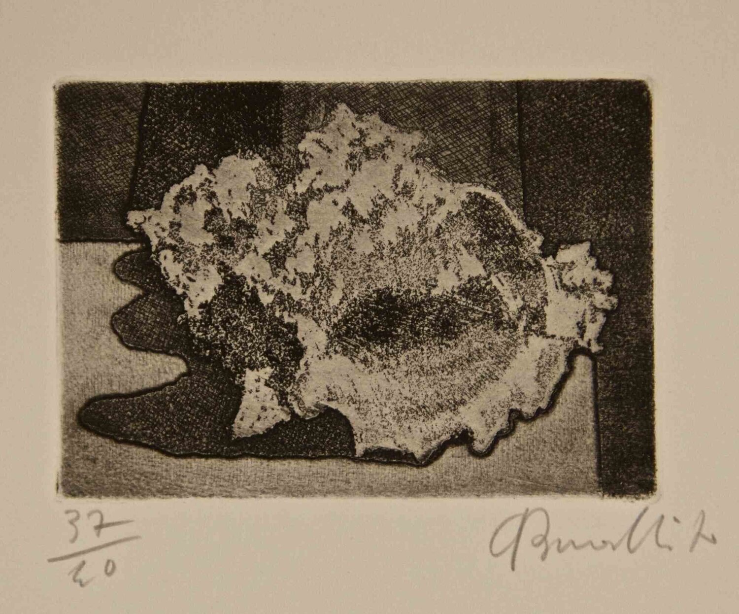 Shell Armando Buratti