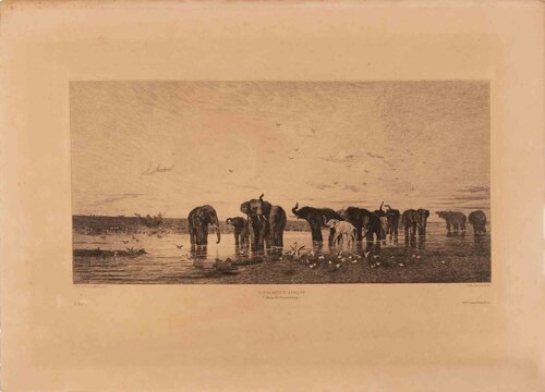Éléphants d’Afrique (Souvenir du Luxembourg) von Auguste Raffet, Druck kaufen auf Singulart