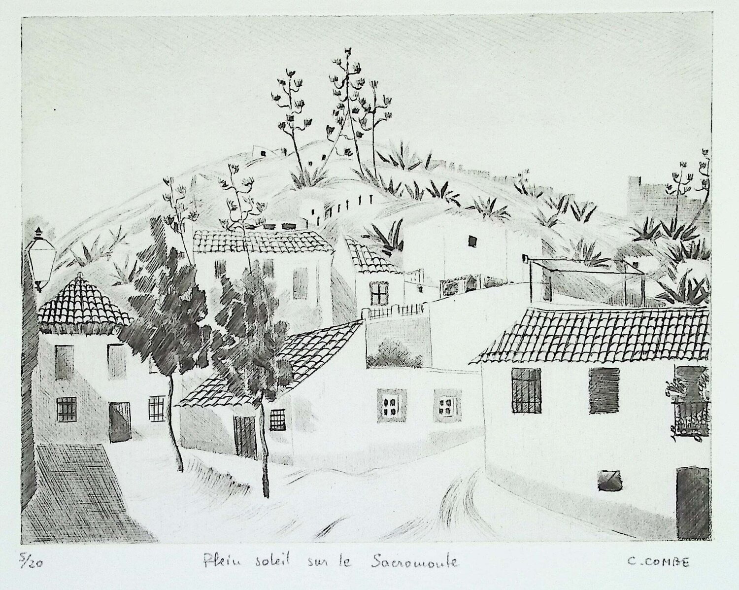 Plein soleil sur le Sacromonte Camille Combe