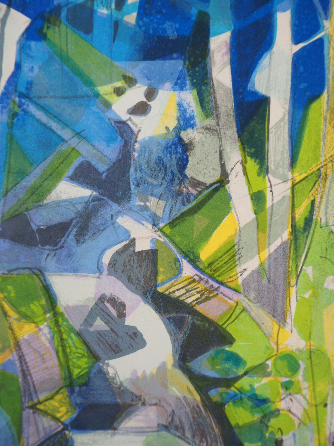 Torrent en forêt (La Largue), Lithographie originale signée Camille Hilaire Impresión en venta