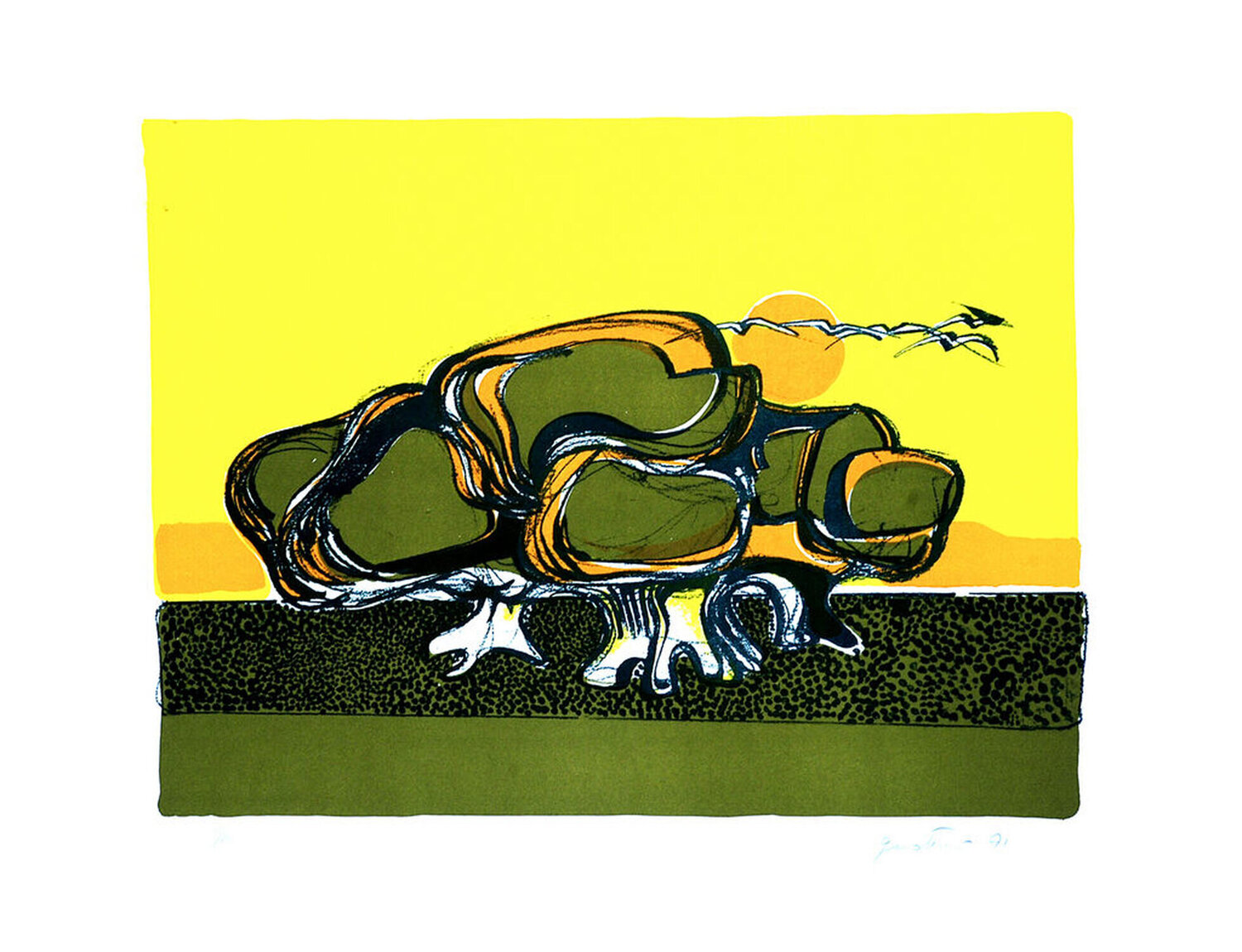 Turtle Carlo Quattrucci Stampa in vendita