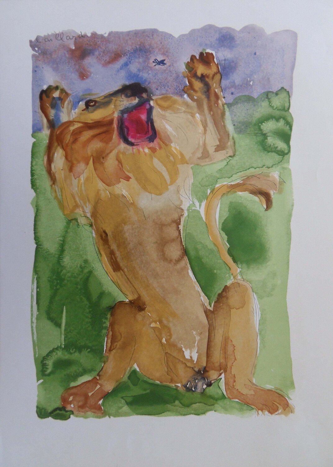 Le lion et le moucheron, Gravure Christian Caillard Impresión en venta