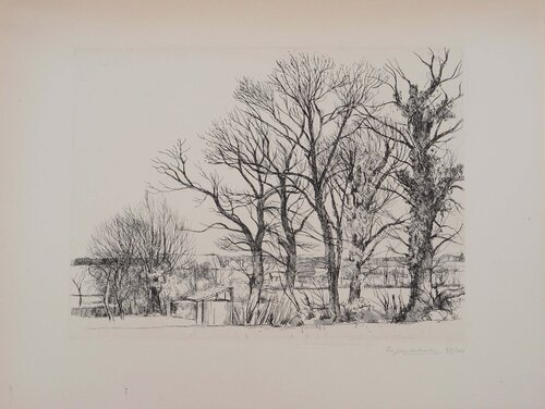 Les vieux arbres, Gravure originale signée Eugene Corneau