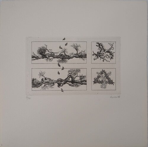 Etude de Branches François Houtin