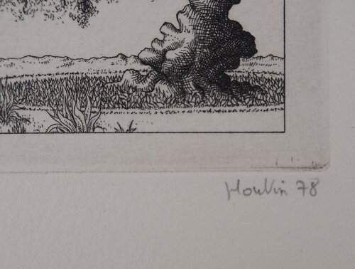 Nature imaginaire François Houtin