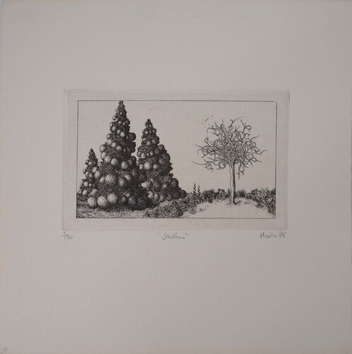 Sapins François Houtin