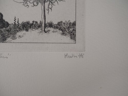 Sapins François Houtin