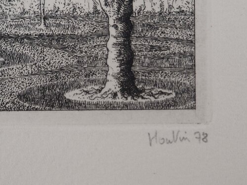 Jardin d'Arbustes François Houtin