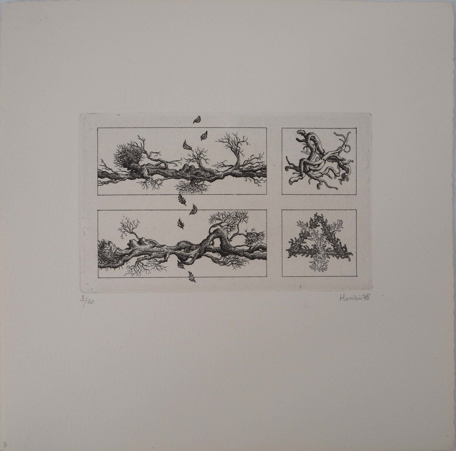 Etude de Branches François Houtin Édition à vendre