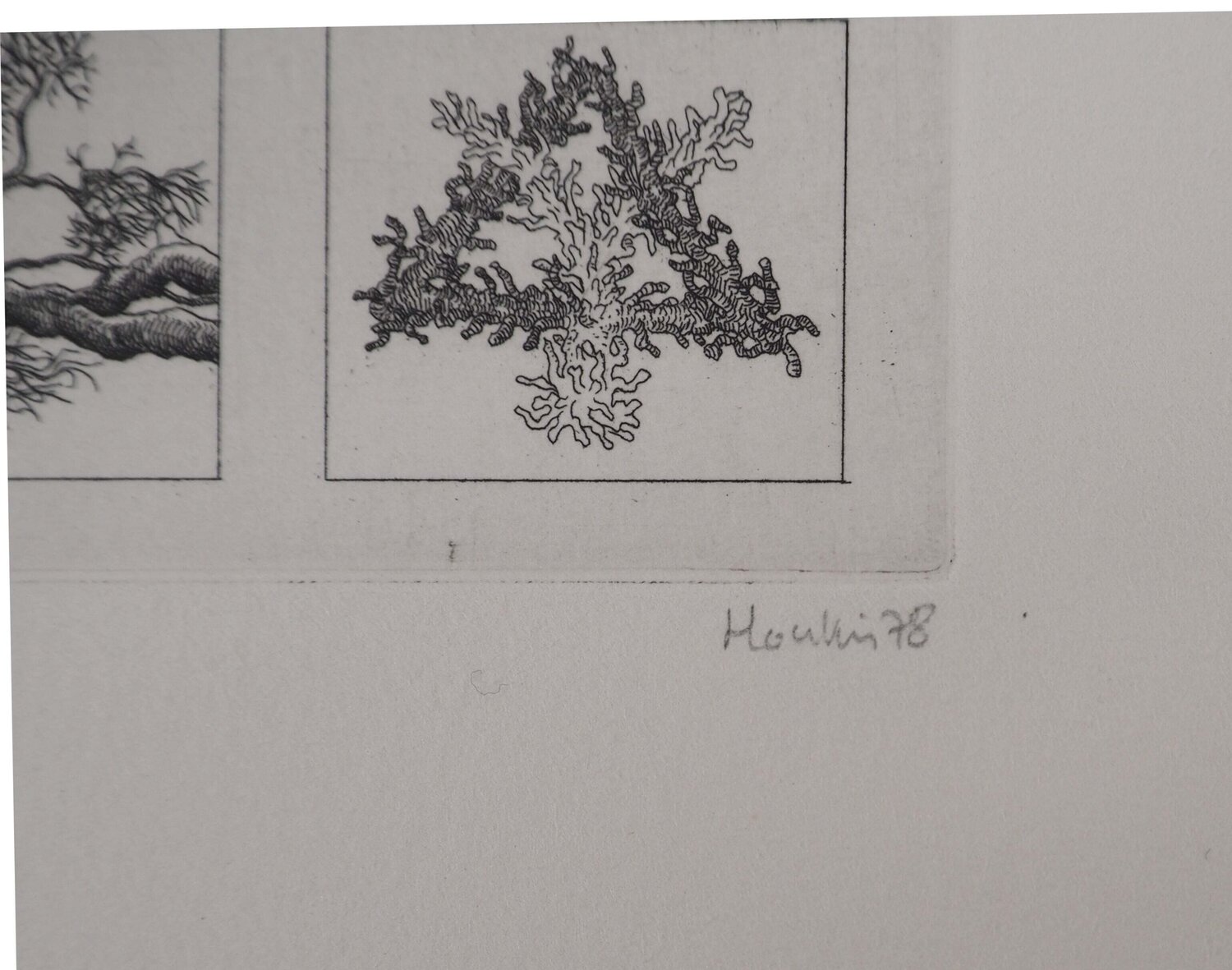 Etude de Branches François Houtin