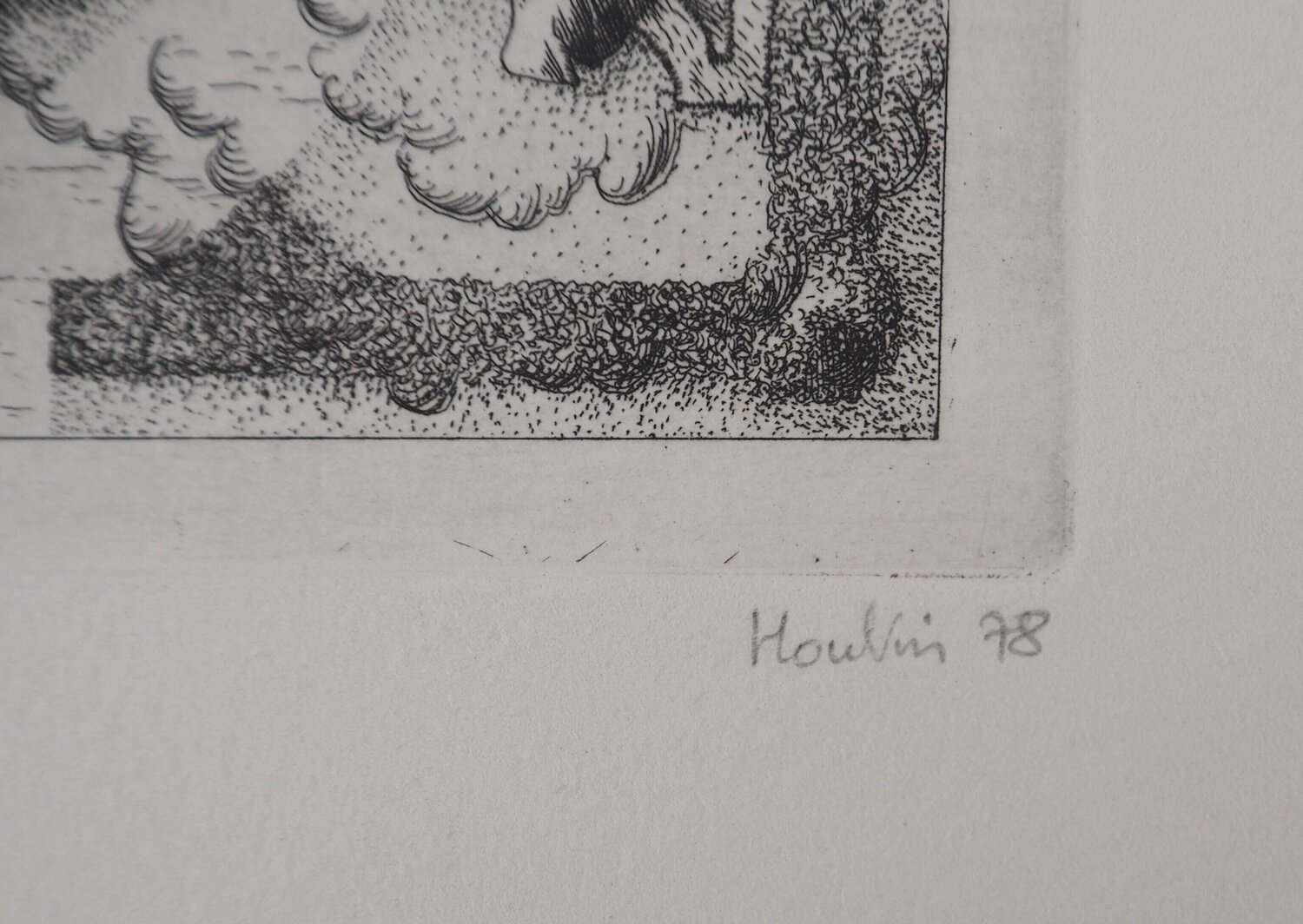 Parcelle d'un parc François Houtin