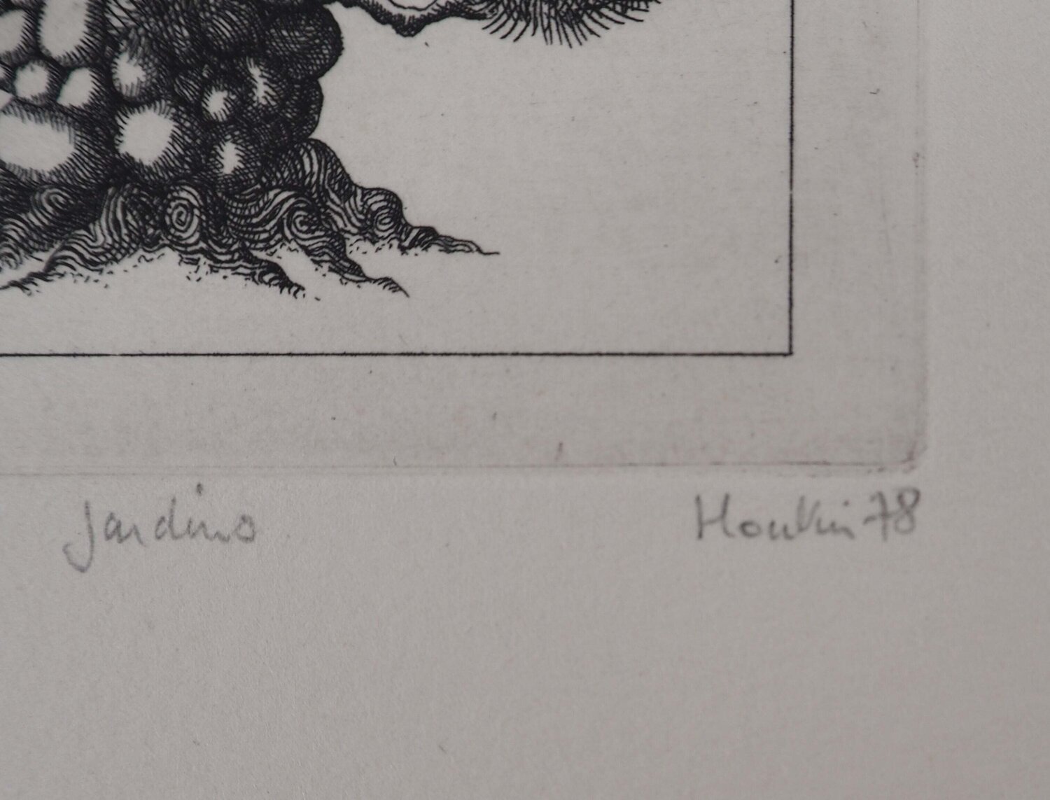 Un Pin François Houtin