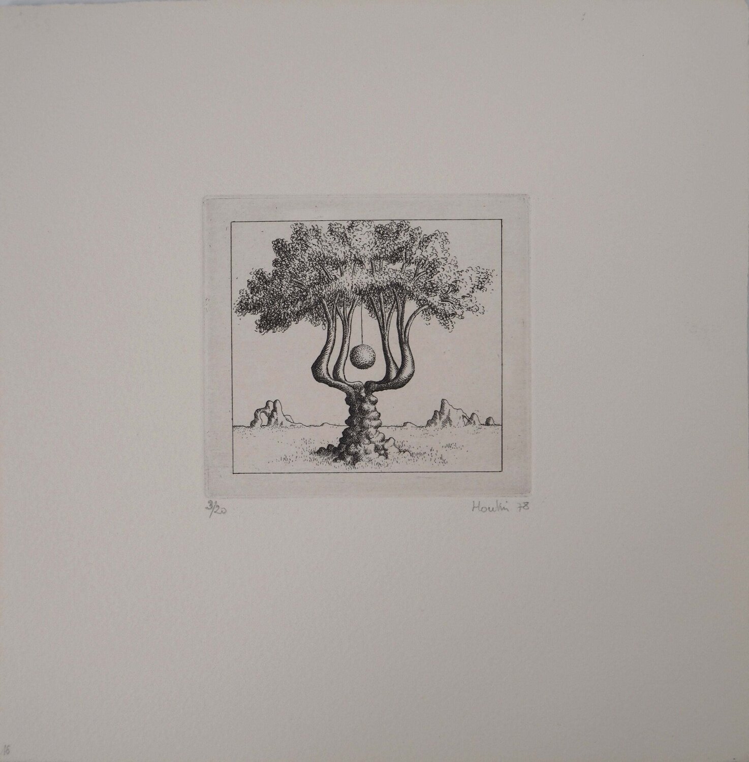 Arbuste Fantastique, Gravure originale signée François Houtin Print for sale