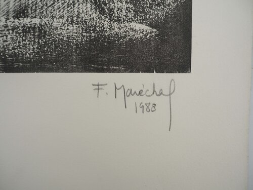 Rage : Loup hurlant by François Maréchal, Print for Sale on Singulart