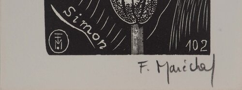 Orchidée : Sabot de Vénus di François Maréchal, Stampa in vendita su Singulart