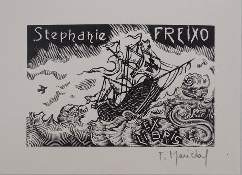 Tempête et navire François Maréchal