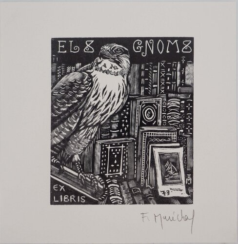 Aigle et bibliothèque di François Maréchal, Stampa in vendita su Singulart