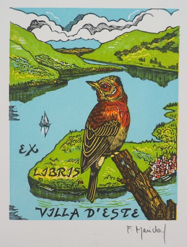 L'oiseau coloré by François Maréchal, Print for Sale on Singulart