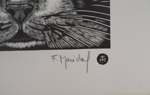 Face de chat by François Maréchal, Print for Sale on Singulart