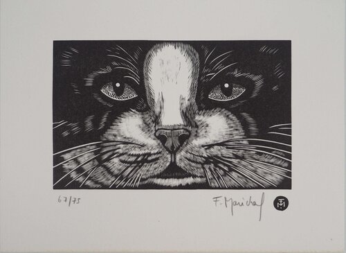 Face de chat van François Maréchal, Afdruk te koop op Singulart
