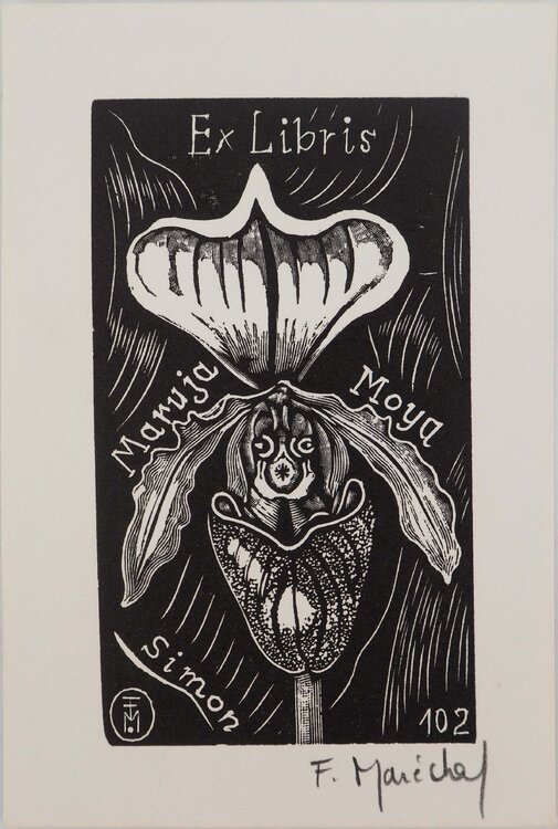 Orchidée, le Sabot de Vénus, Gravure sur bois originale signée François Maréchal
