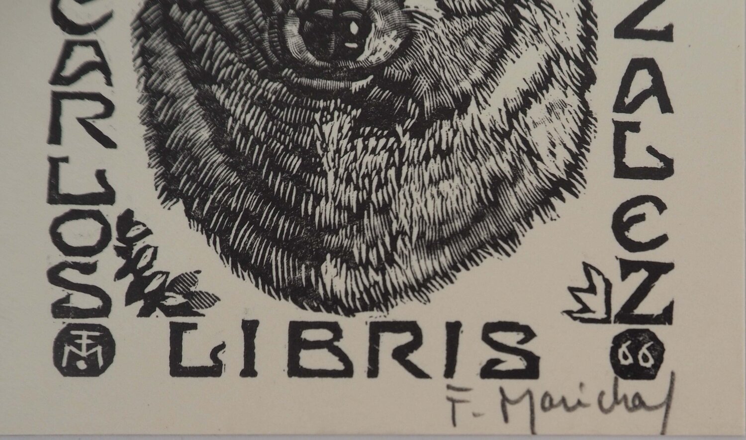 Le loup François Maréchal