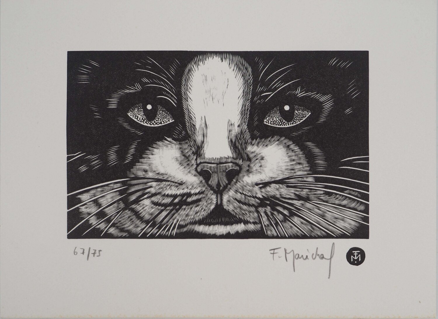 Face de chat François Maréchal Édition à vendre