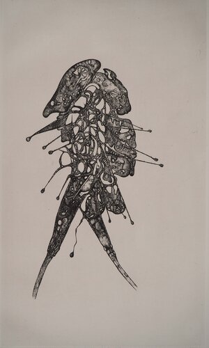 Parade Interne : Fou by Fred Deux, Print for Sale on Singulart