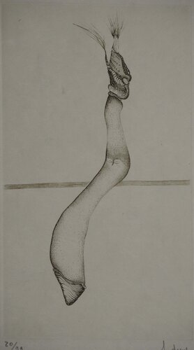 Si longue par Fred Deux, Édition en vente sur Singulart