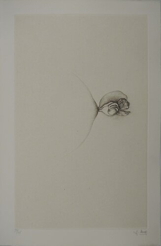 Anatomie d'un bourgeon by Fred Deux, 版画 for Sale on Singulart