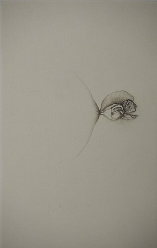 Anatomie d'un bourgeon by Fred Deux, Print for Sale on Singulart
