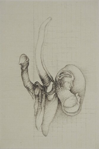 Gestation van Fred Deux, Afdruk te koop op Singulart